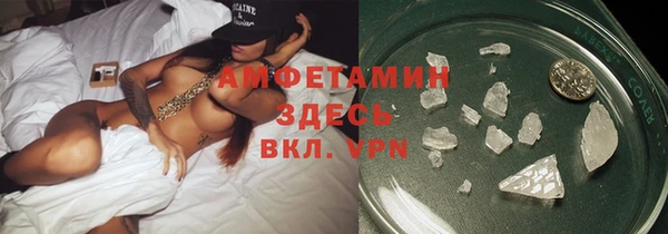 прущие грибы Туринск
