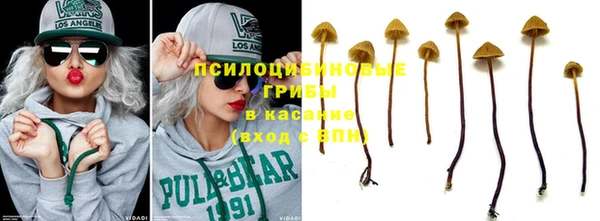 прущие грибы Туринск