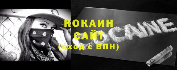 прущие грибы Туринск