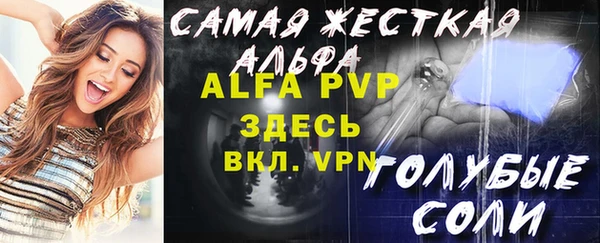 прущие грибы Туринск