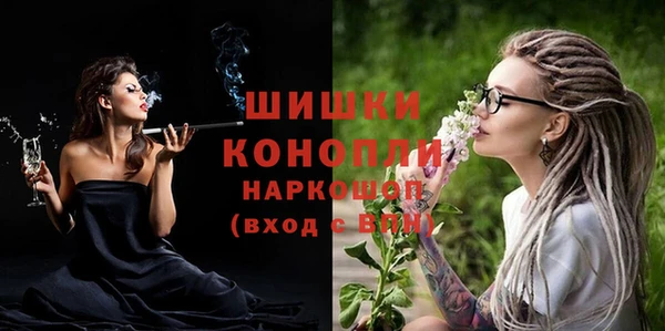 прущие грибы Туринск