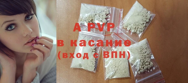 прущие грибы Туринск