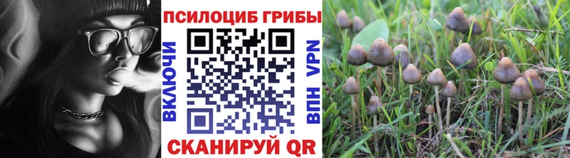 Галлюциногенные грибы прущие грибы  закладки  mega ONION  Тбилисская 